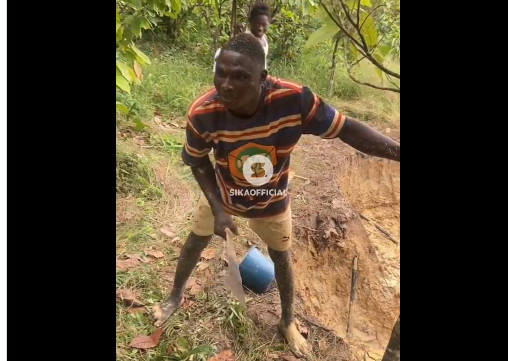 No “chop money”, no farm – Cocoa farmer turned galamseyer tells Akufo-Addo