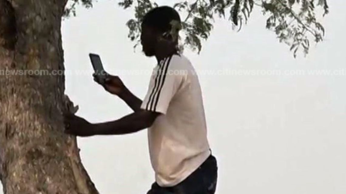 Wawasua residents climb trees to make calls over poor network