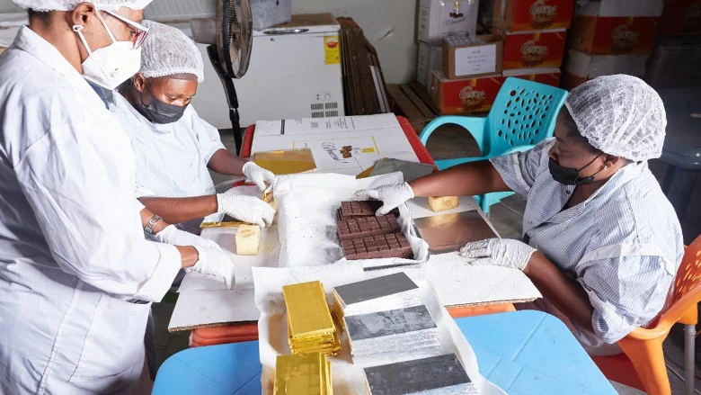 Bawumia reechoes friendly tax system for businesses, SMEs