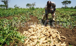 Extended drought sparks concerns of food shortages and price hikes