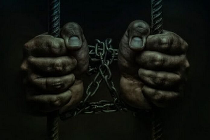 Global prison population hits 11.5m – Report
