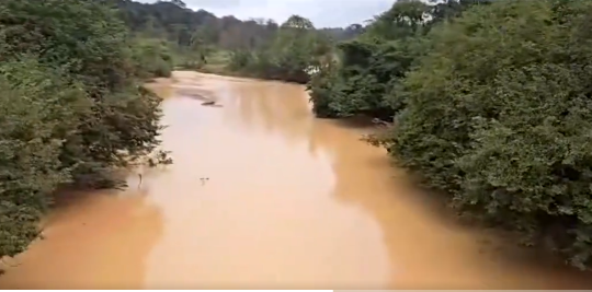 Devastating! Ancient Tano River blocked by illegal miners