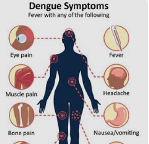 Noguchi Institute confirms dengue fever cases in Oti Region