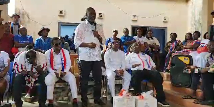 2024 elections: I’m sure Ghanaians will keep NPP in power – NAPO
