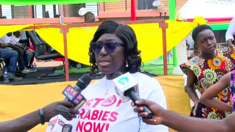 Rabies: Citizens must be arrested for failing to vaccinate their pets – Veterinary Service 