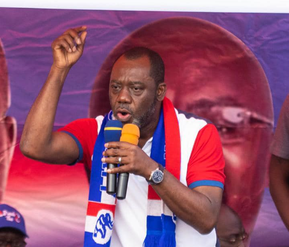 NPP MPs are disciplined; they know Parliament isn’t a boxing ring – NAPO