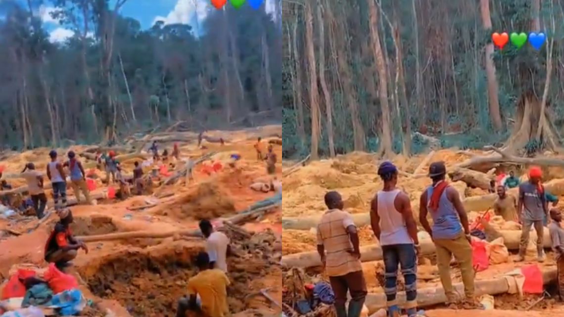 Video of a dozen Ghanaian men engaged in ‘illegal’ logging of trees pops up