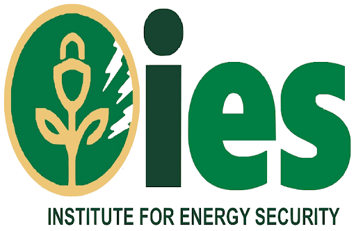 It’s risky to merge VRA, ECG, others  than beneficial – IES