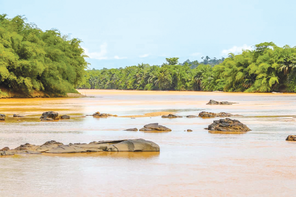 A/R: Activities of illegal mining worrying, shut down of production plants possible – GWCL