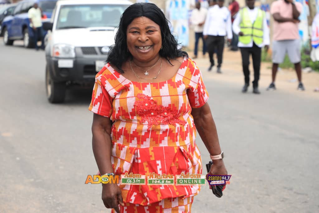 You have 10 days to nominate new flagbearer – EC urges GFP