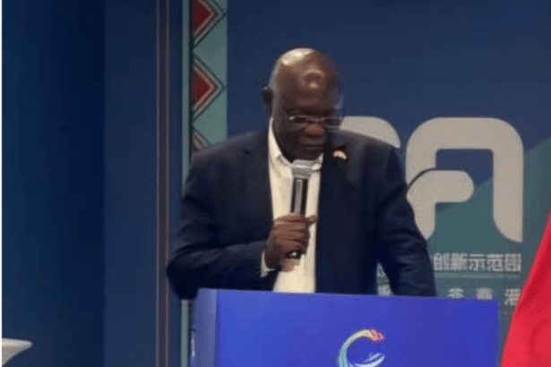AGS, China-Africa Centre partner to drive Africa’s economic growth