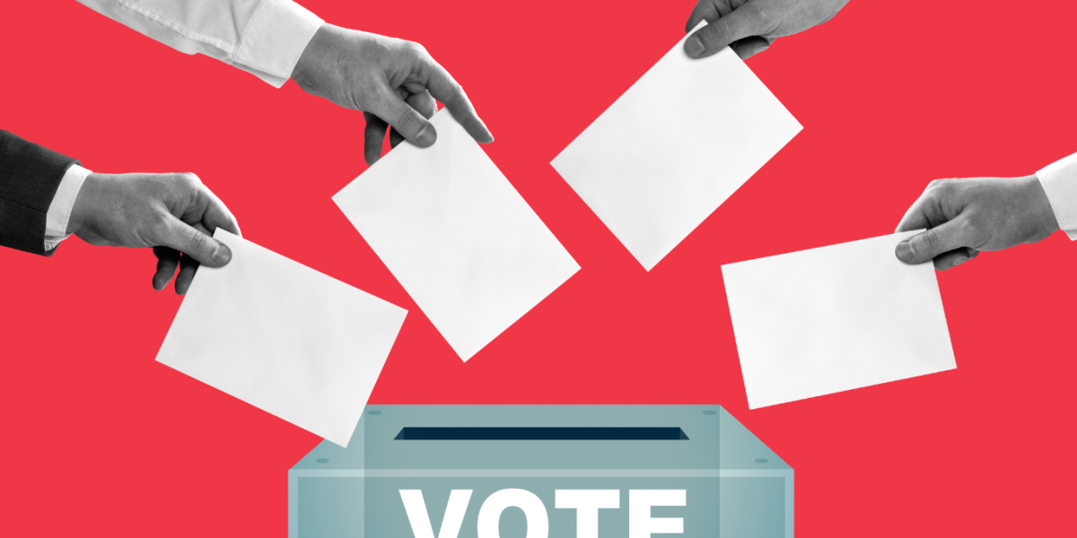 EU observers claim Mozambique election results manipulated