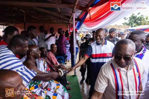 NAPO confident of NPP retaining Ayensuano seat