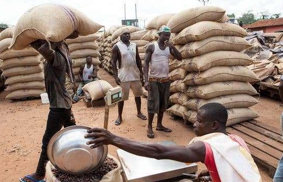 Cocoa Carriers Association starts indefinite strike action today