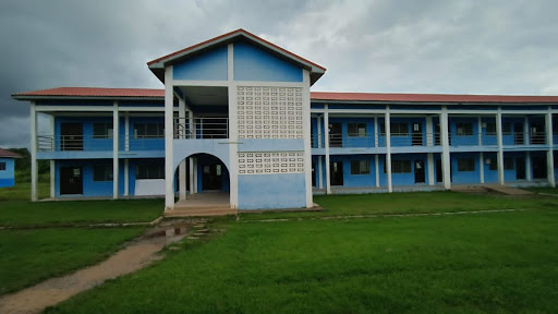 Lamens Venture supplied unwholesome rice, milk to schools in 2021 – Auditor General report
