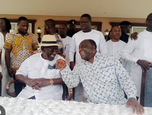 You’ve cast a shadow on your political career by endorsing Bawumia – Alan