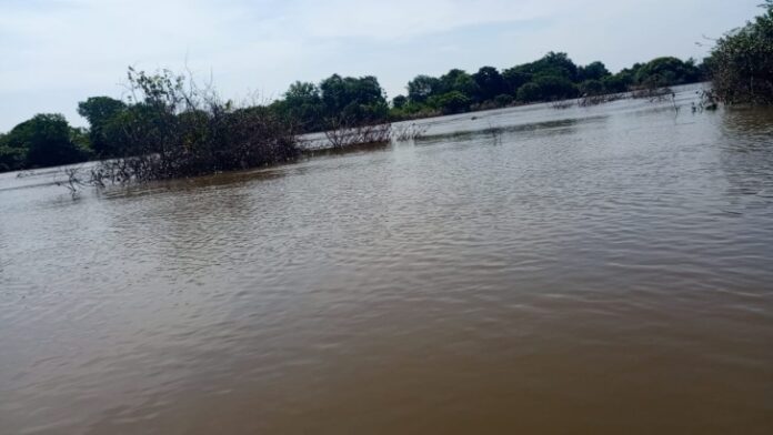 Schools in Kucha area closed as Oti River overflows