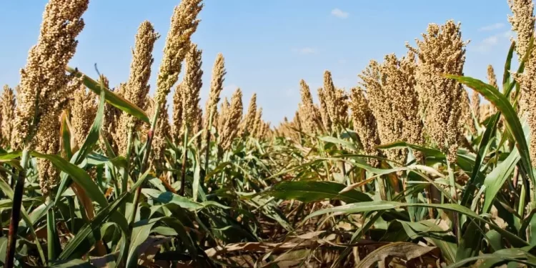 Economic challenges lead to 45% decrease in trading activity value – Report