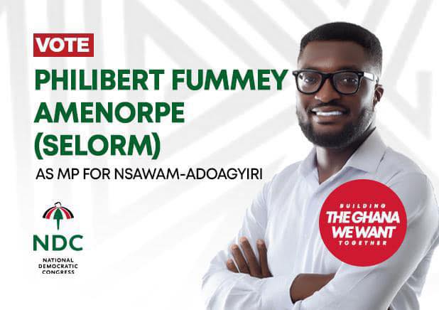 NDC’s Nsawam-Adoagyiri PC goes to court, wants fresh election