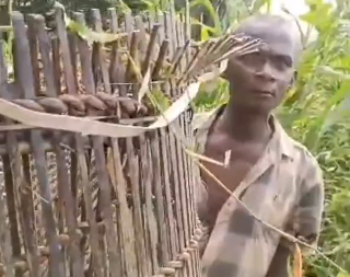 Elderly man steals from fish farm, offers to work as labour in lieu of punishment