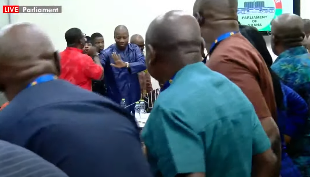 NPP MPs disrupt ministerial nominees vetting again