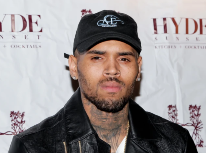 Chris Brown sues producers of “A History of Violence” docuseries for $500m in defamation