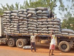 216 bags of cocoa beans being smuggled to Togo seized in June, July – COCOBOD