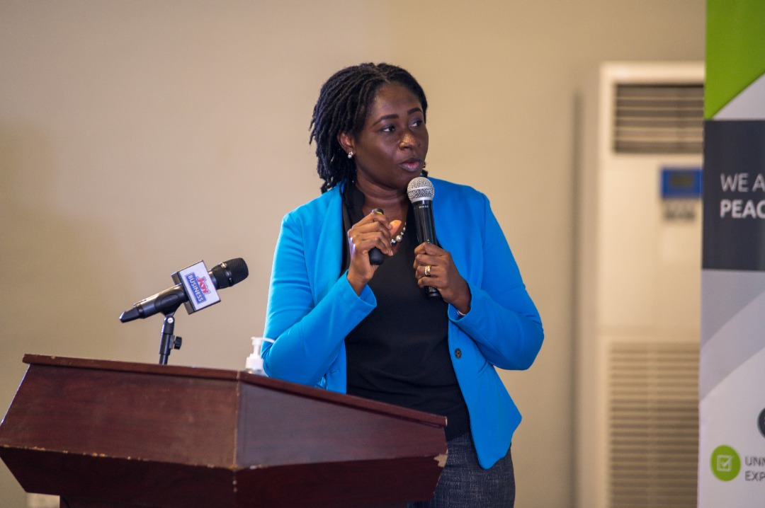 Don’t hesitate to maintain taxes you promised to scrap to save the economy – Economist to Finance Minister