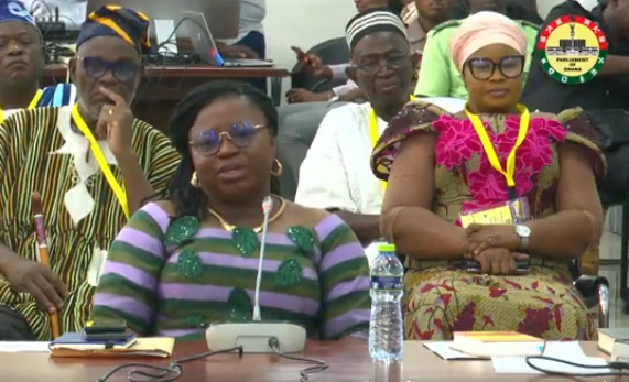 LIVESTREAMING: Appointments Committee vets Mahama’s Deputy Minister nominees
