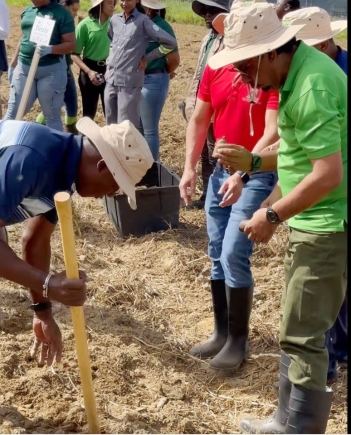 Trinidad and Tobago receive 10,000 yam seeds from Ghana