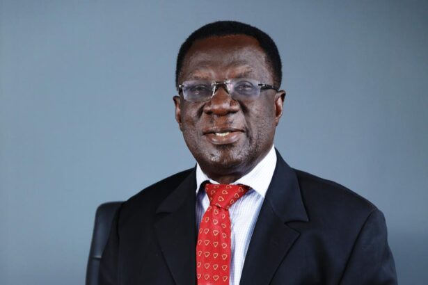 Former PPA Board Chair released from NIB custody