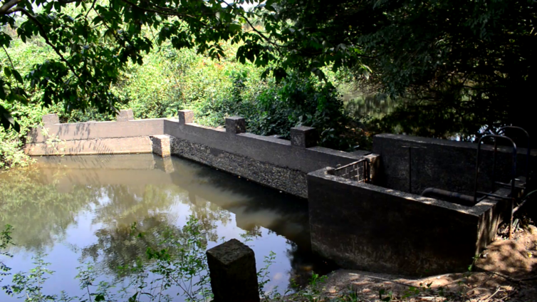 Pollution of Tordze worsens water scarcity in Agortime Ziope, Adaklu Districts