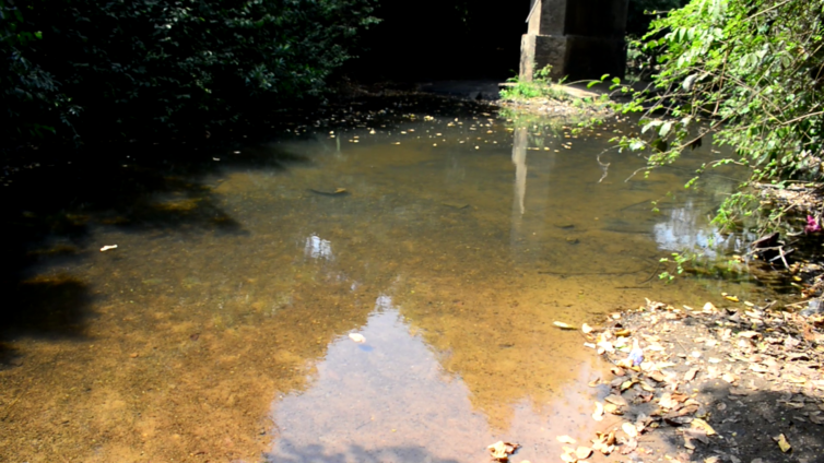 Lab tests confirm Tordze River water safe despite suspected chemical spill