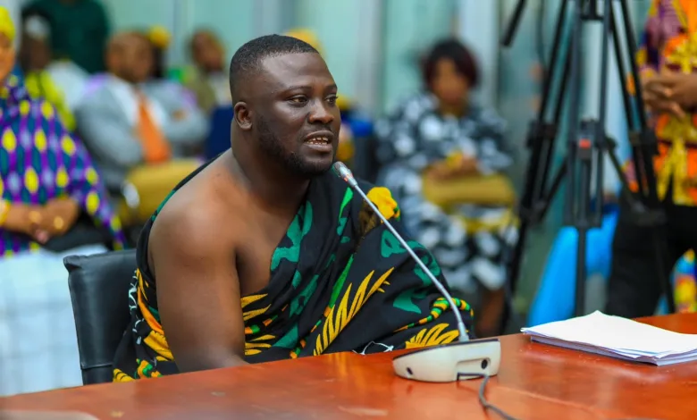 Invest in young people to secure future of local content – Minister tells NFA