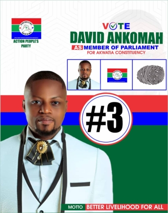Akwatia by-election: EC dragged to court over disqualification of APP candidate