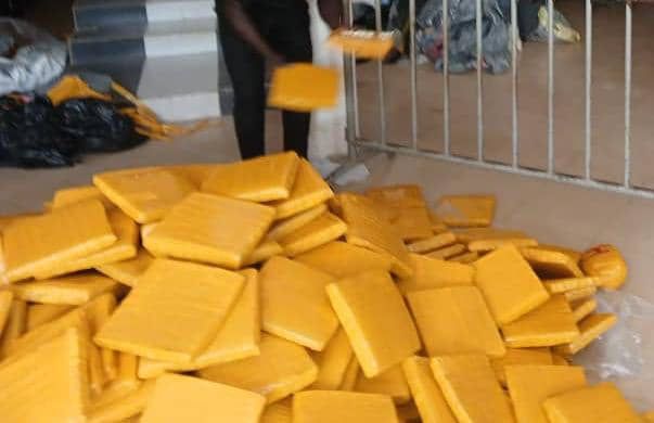 519 parcels of suspected Indian Hemp seized at Nyanyano