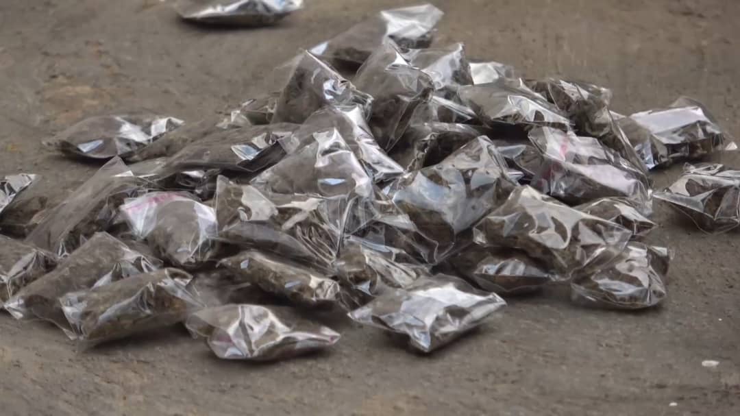 NACOC destroys illicit drugs in Savannah Region