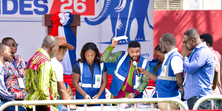 Results recorded so far in NPP’s Presidential Primaries