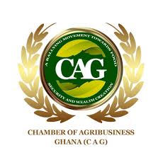 Ghana to earn up to $1bn from beverage exports annually if 20% tax on juice is not scrapped – Agribusiness Chamber