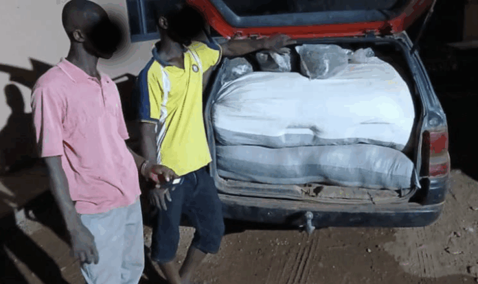 Police arrest two drivers with Indian hemp after attempted escape