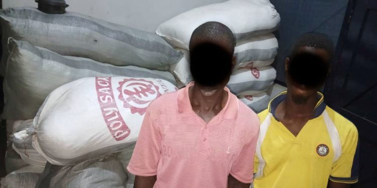 Volta Region: Two arrested for drug trafficking