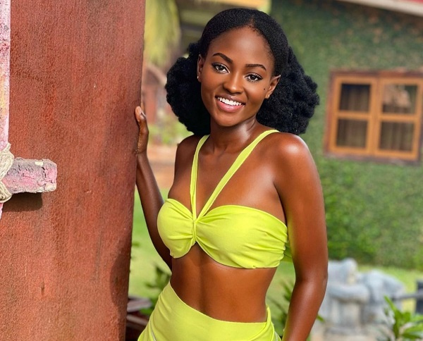 Hamamat will be commissioned as tourism ambassador for shea butter – Abeiku Santana announces