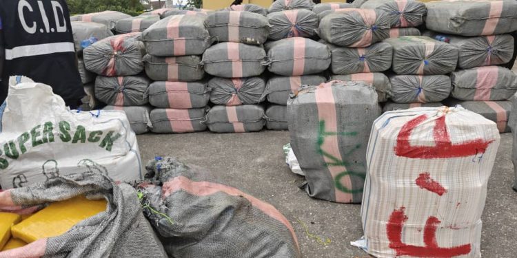 Two truckloads of suspected Indian Hemp intercepted at Assokor barrier