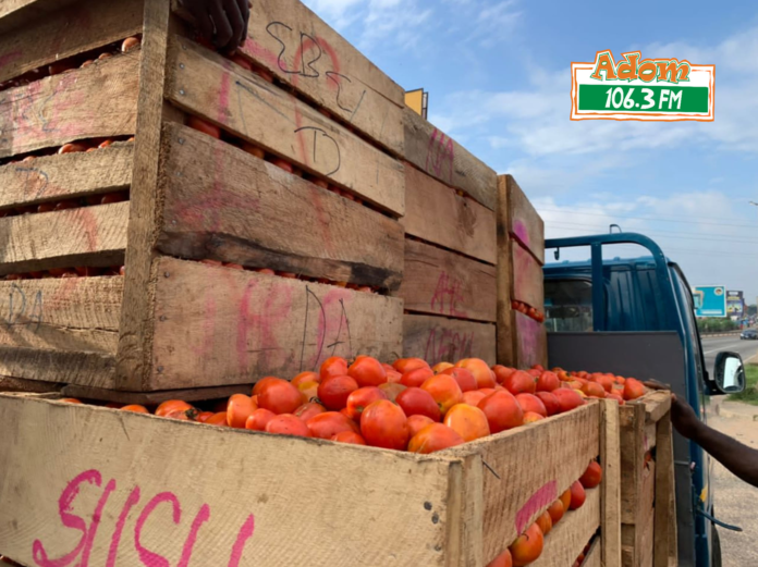 Looming tomato shortage to hit Ghana as Burkina Faso bans exports indefinitely
