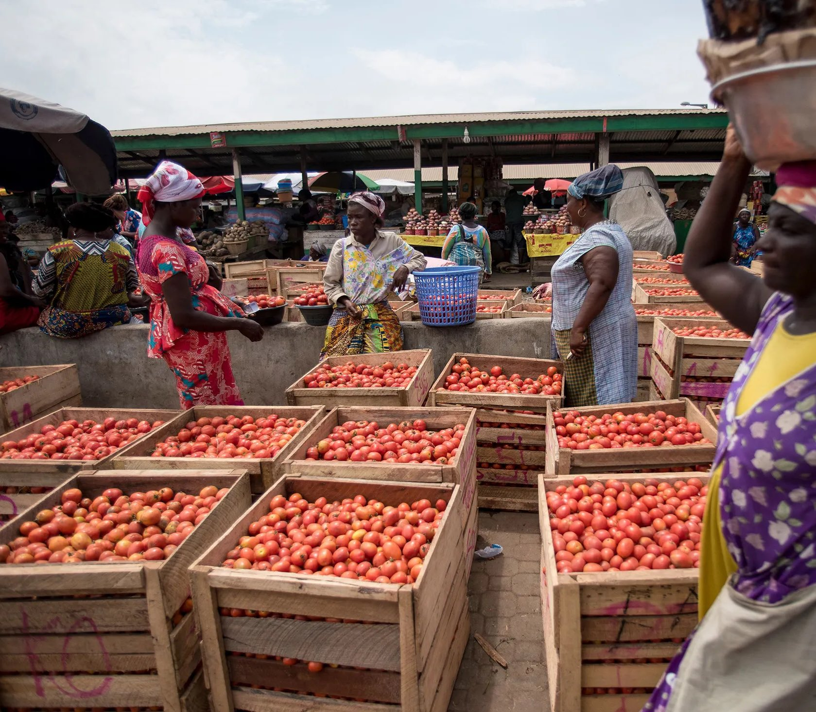 Govt to engage Burkina Faso over tomato export ban – Trade, Agric Ministry