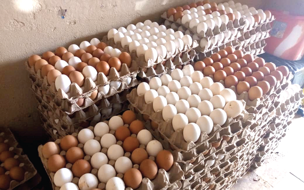 Ghana hit by egg glut amid Burkina Faso export ban