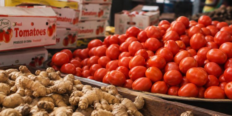 Prices of tomatoes to drop sharply in coming weeks as Ghanaian farmers begin harvest
